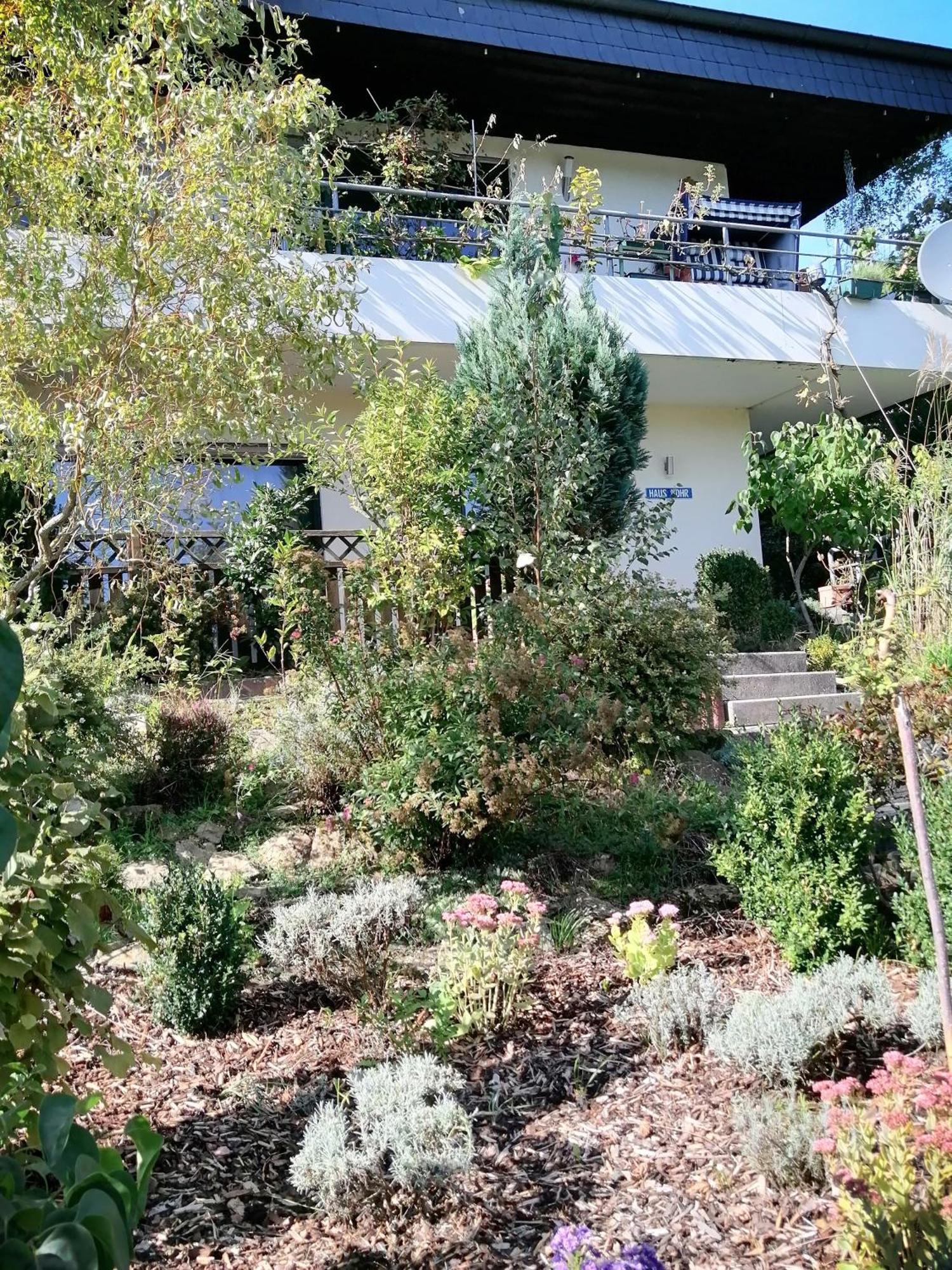 Haus Mohr - Ferienwohnung Im Taunus Weilmunster Buitenkant foto